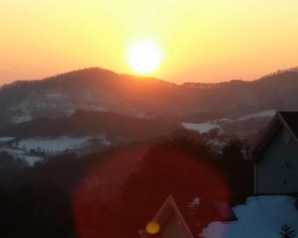 фото Pungcha & Herb Pension