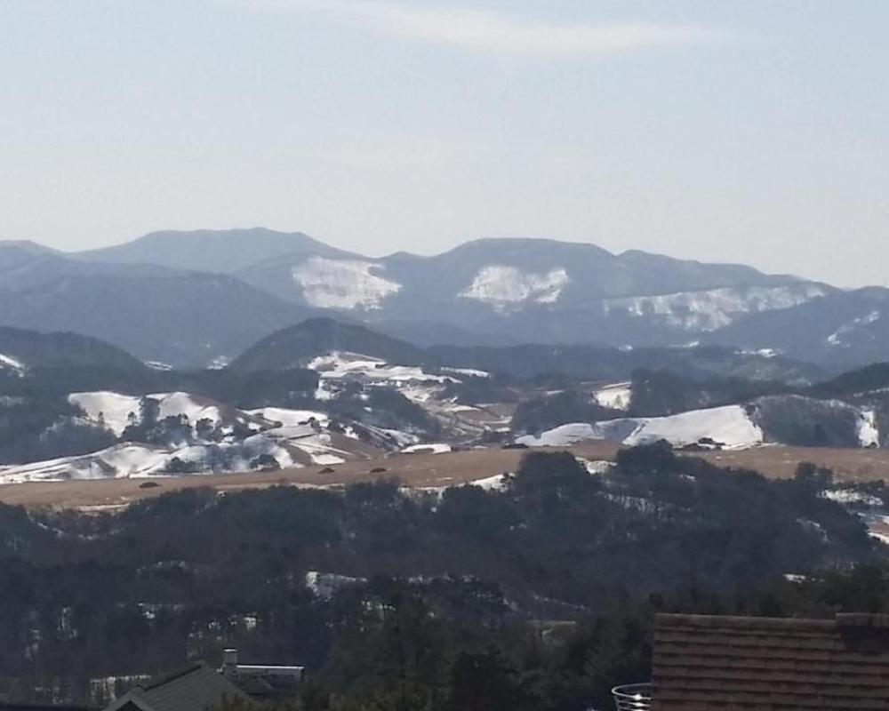 фото Pungcha & Herb Pension