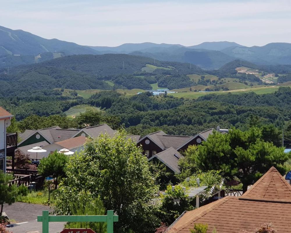 фото Pungcha & Herb Pension