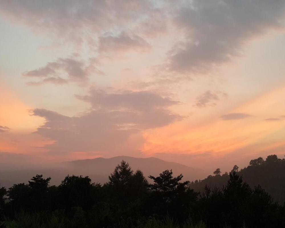 фото Pungcha & Herb Pension