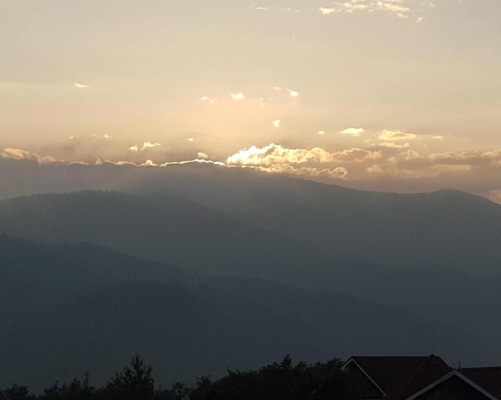 фото Pungcha & Herb Pension