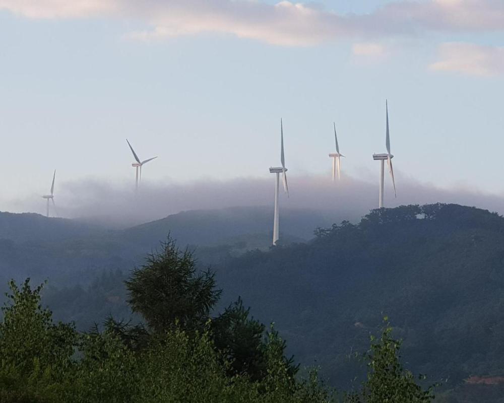 фото Pungcha & Herb Pension