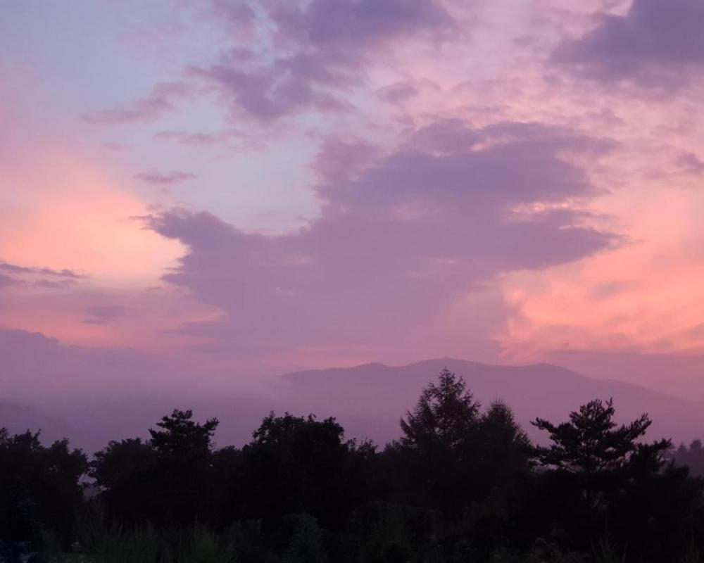 фото Pungcha & Herb Pension