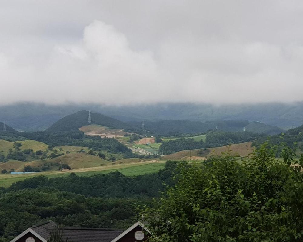 фото Pungcha & Herb Pension