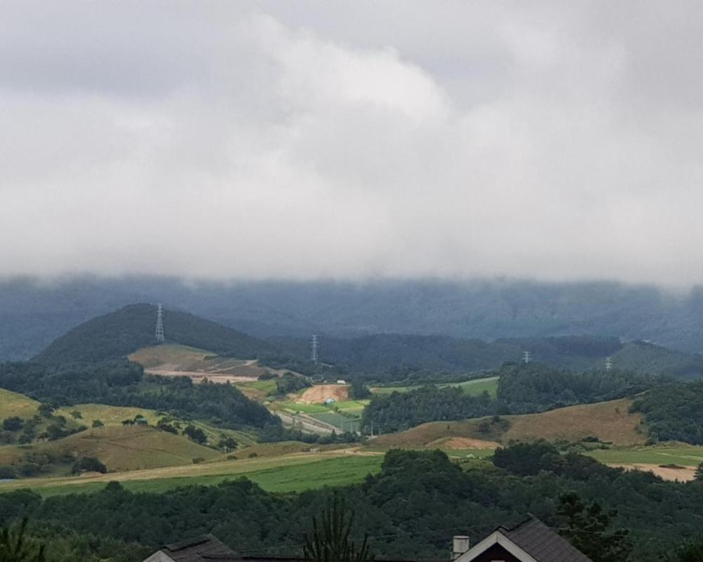 фото Pungcha & Herb Pension