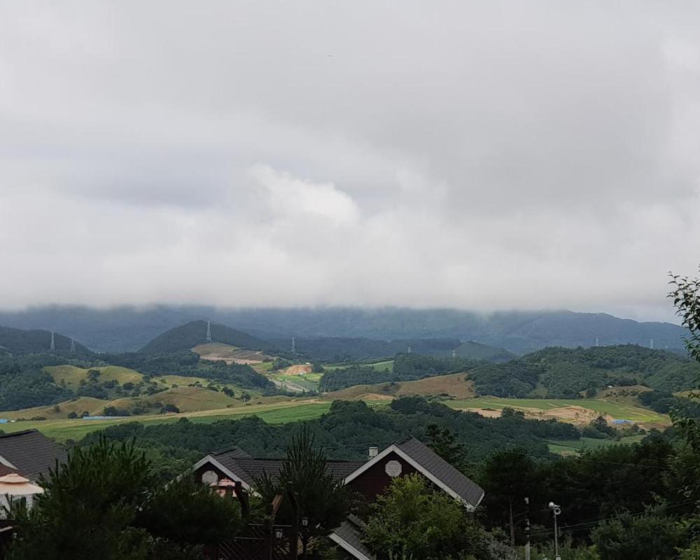 фото Pungcha & Herb Pension