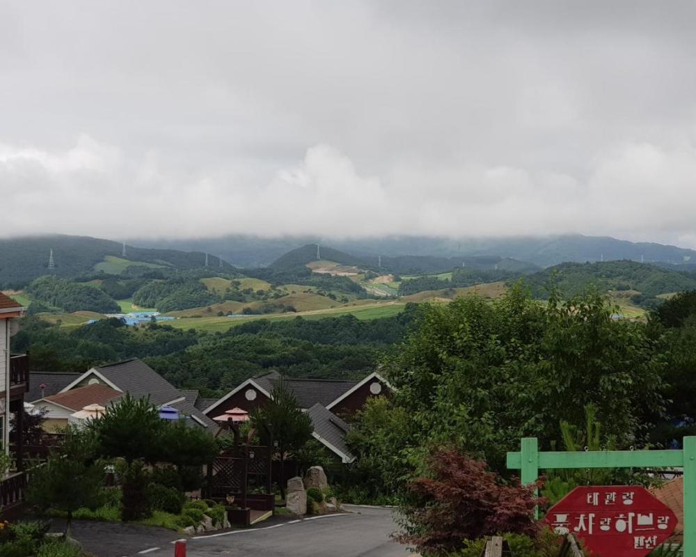 фото Pungcha & Herb Pension