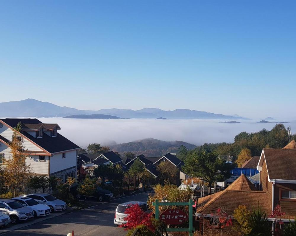 фото Pungcha & Herb Pension