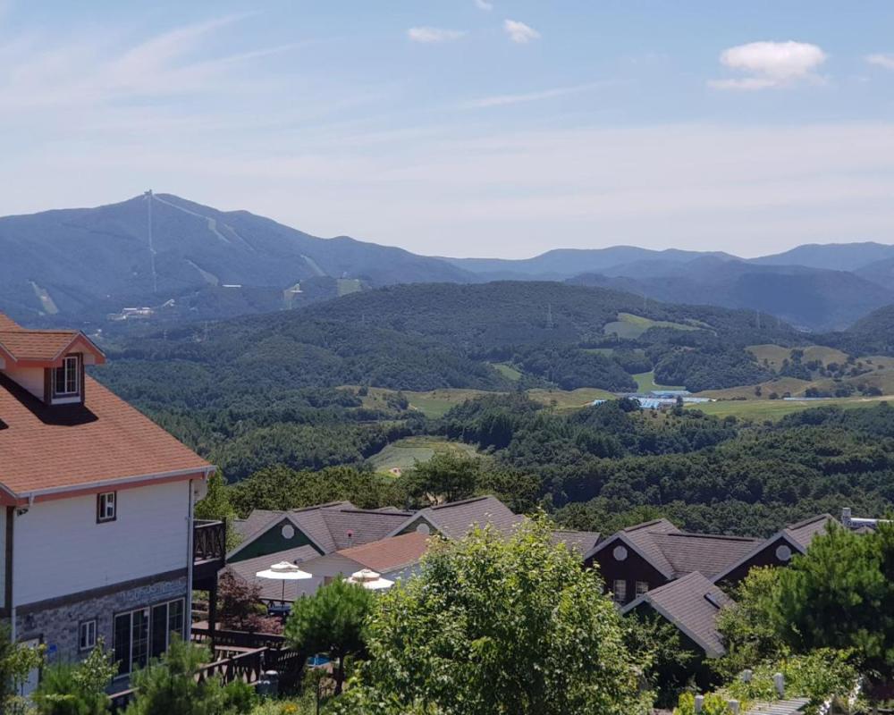 фото Pungcha & Herb Pension