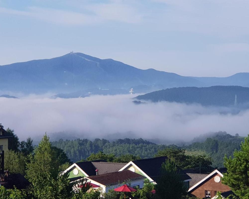 фото Pungcha & Herb Pension