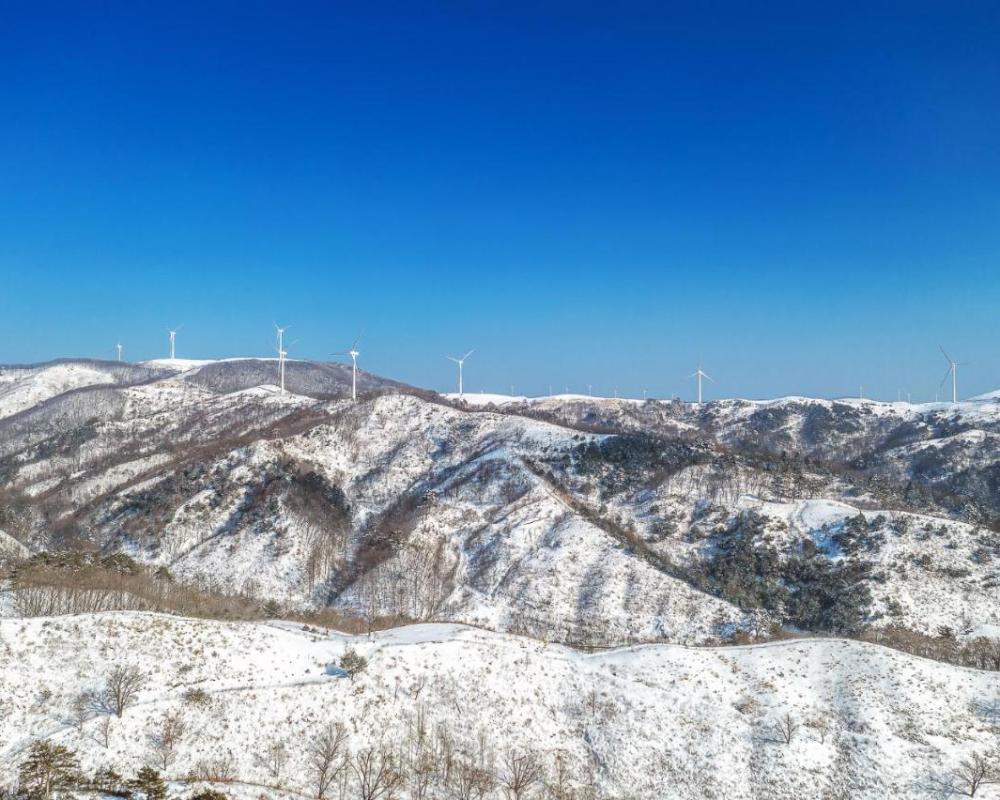 фото Pungcha & Herb Pension