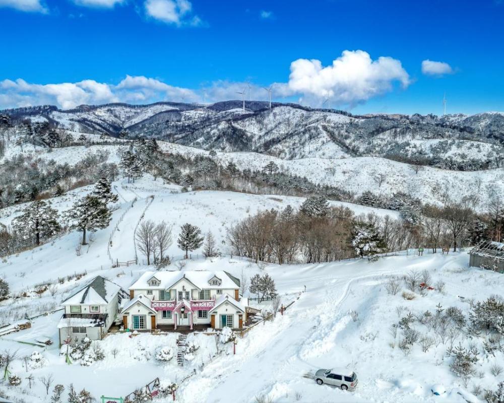 фото Pungcha & Herb Pension