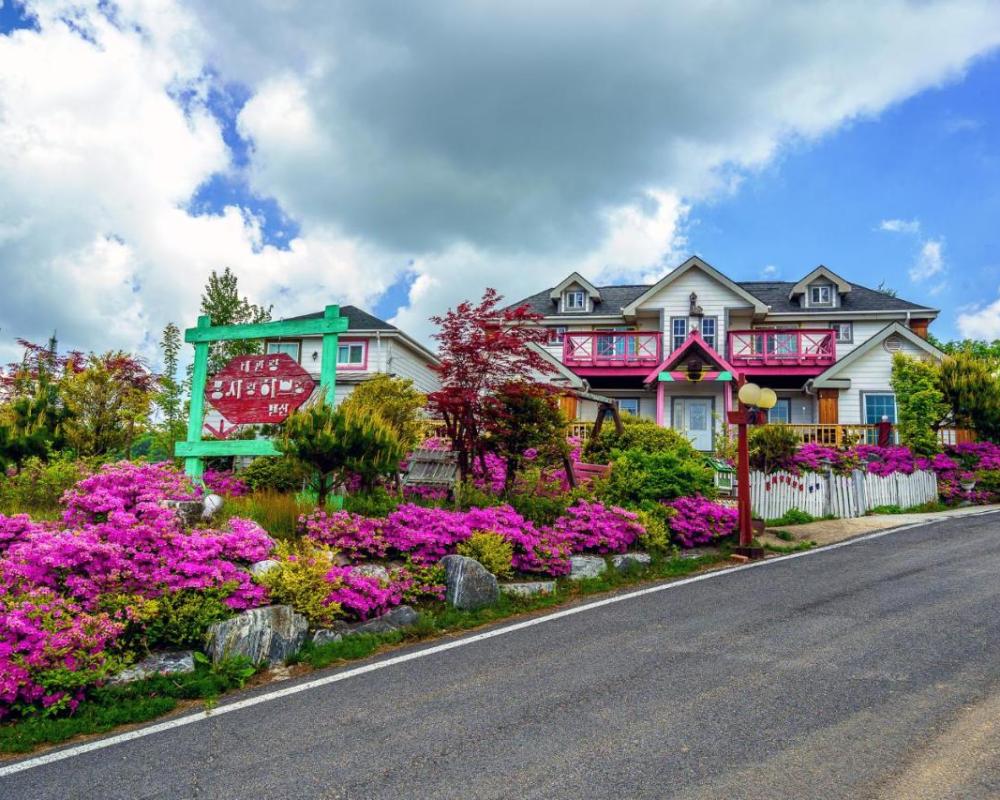 фото Pungcha & Herb Pension