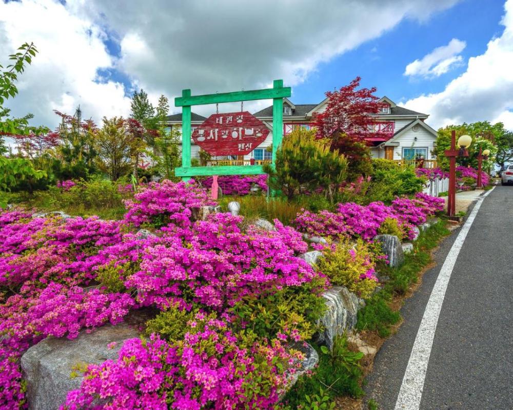 фото Pungcha & Herb Pension