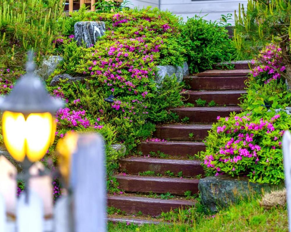 фото Pungcha & Herb Pension