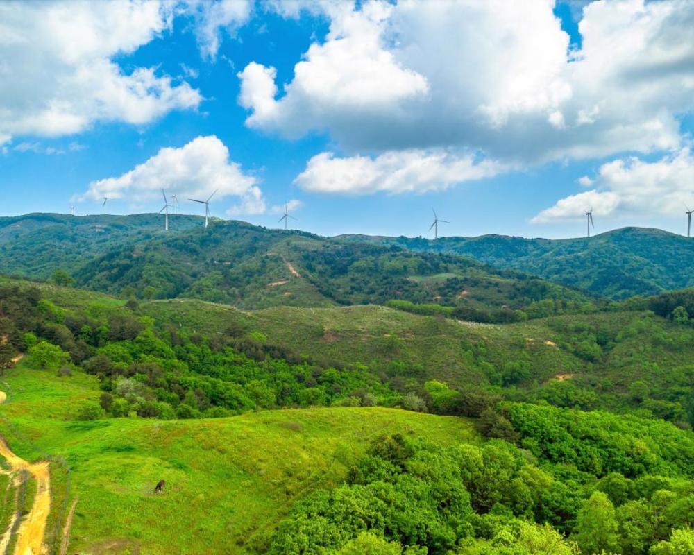 фото Pungcha & Herb Pension