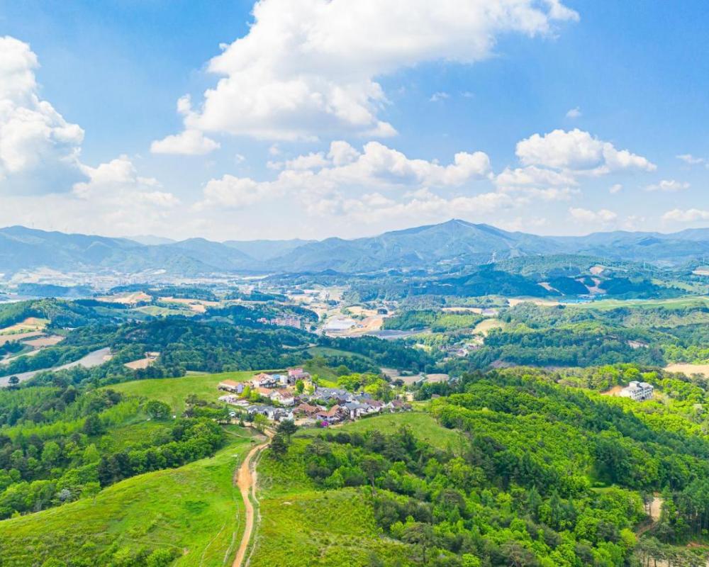 фото Pungcha & Herb Pension