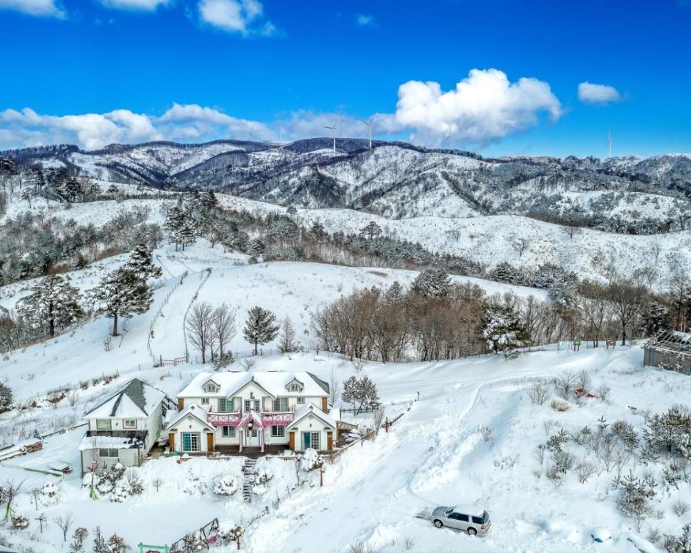 фото Pungcha & Herb Pension