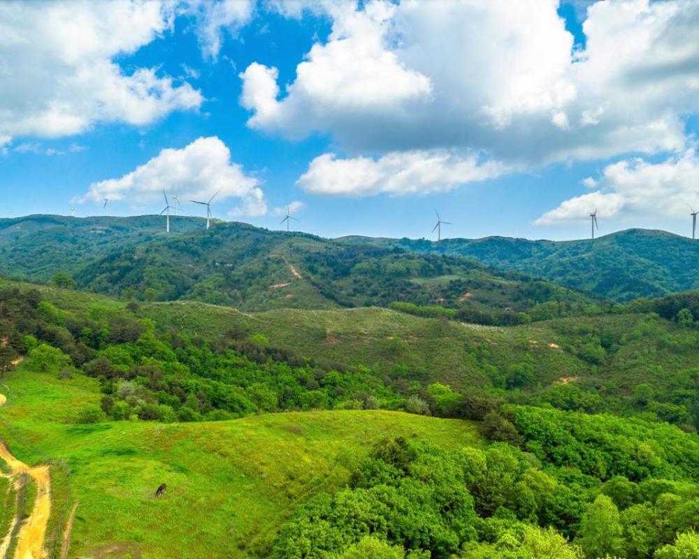 фото Pungcha & Herb Pension