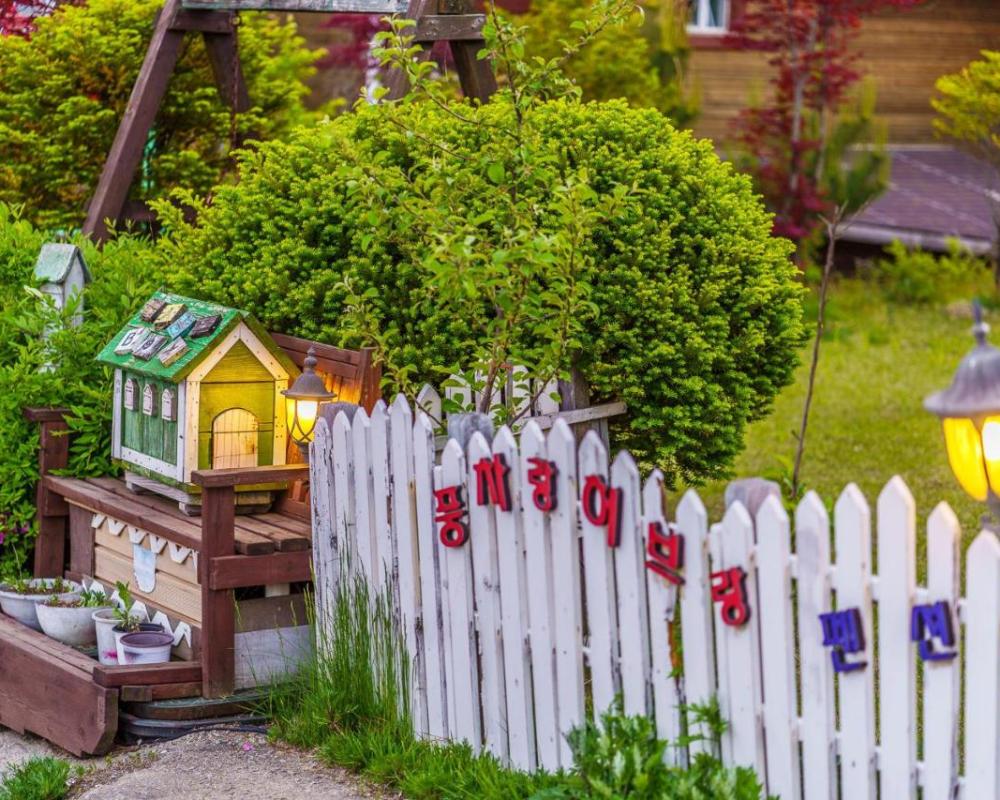 фото Pungcha & Herb Pension