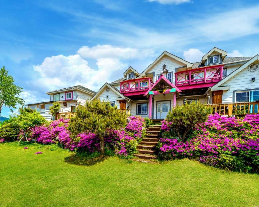 фото Pungcha & Herb Pension