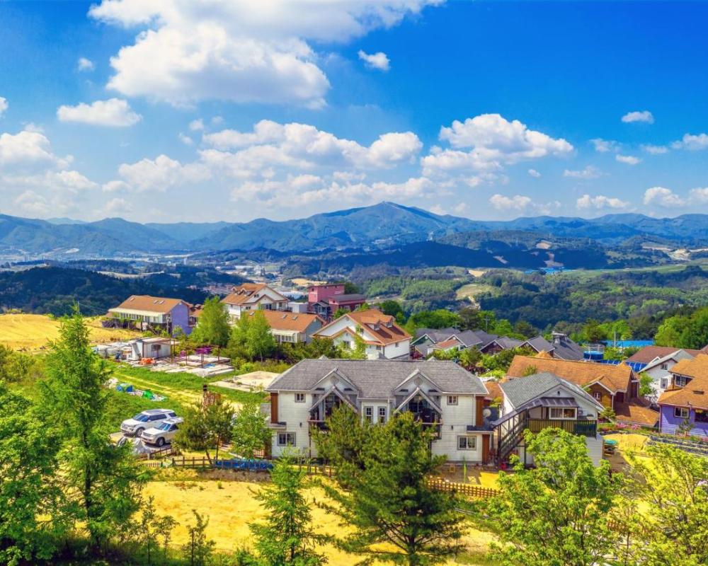 фото Pungcha & Herb Pension