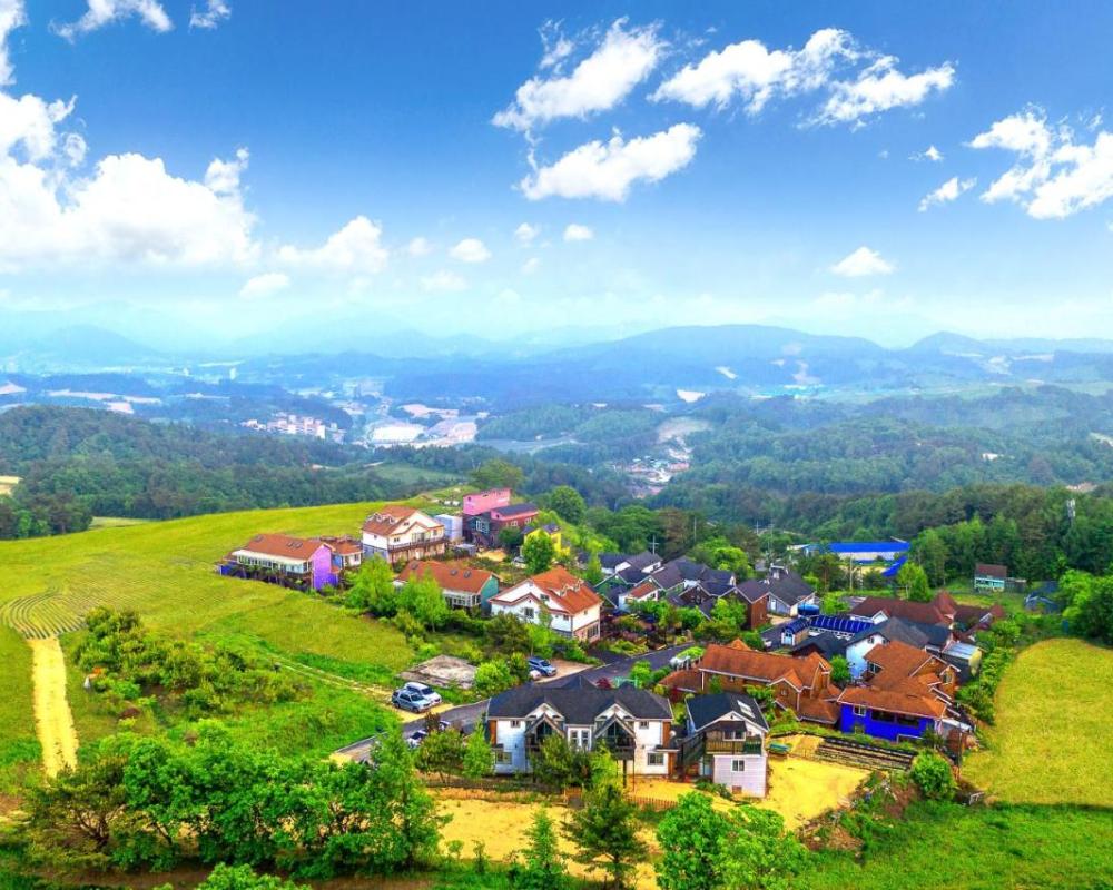 фото Pungcha & Herb Pension