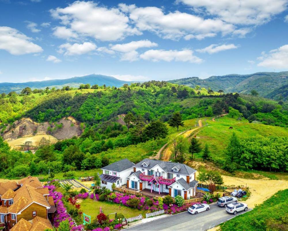 фото Pungcha & Herb Pension