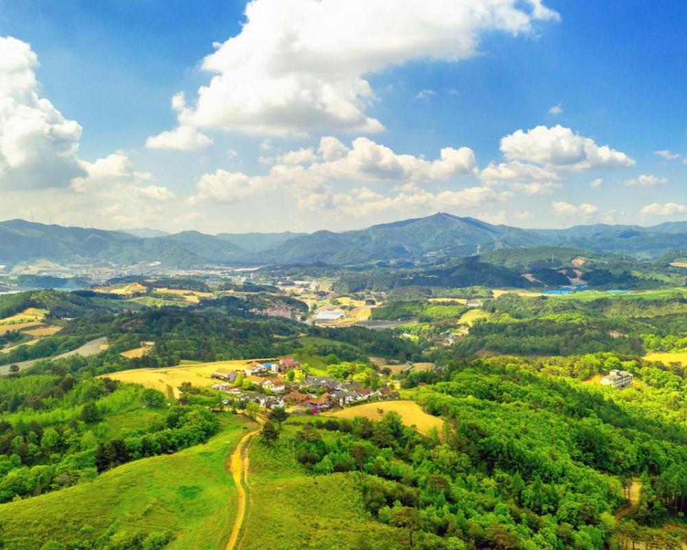 фото Pungcha & Herb Pension