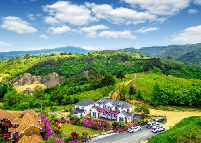 Pungcha & Herb Pension