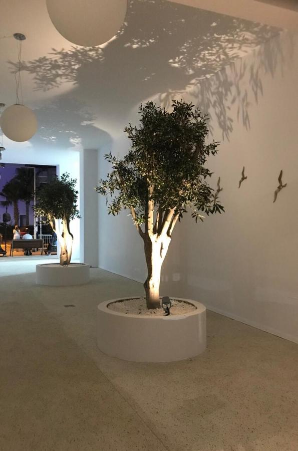 фото Abacus Suites