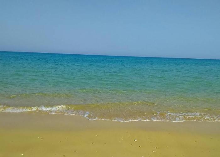 Palmera (Owners Chalets) Families Only