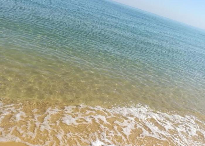 Palmera (Owners Chalets) Families Only