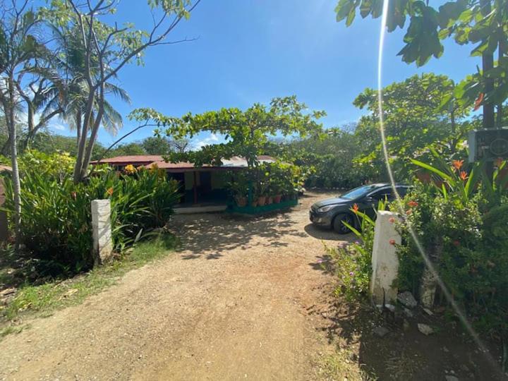 фото Coco verde
