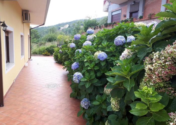 La Casa Dei Colori