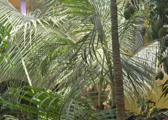 Hôtel Saint-Louis Sun Dakar