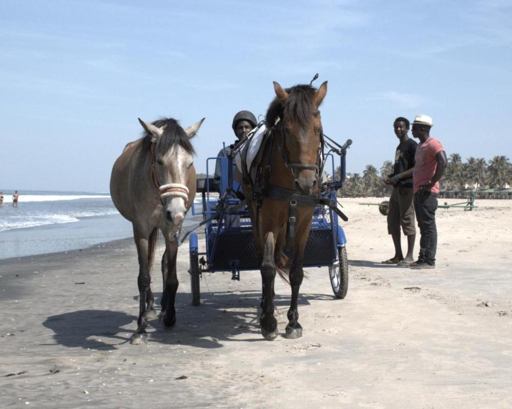 фото Kunta Kinteh Beach Complex