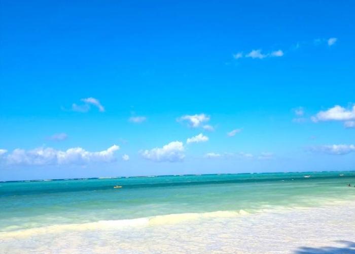Blue Palm Zanzibar