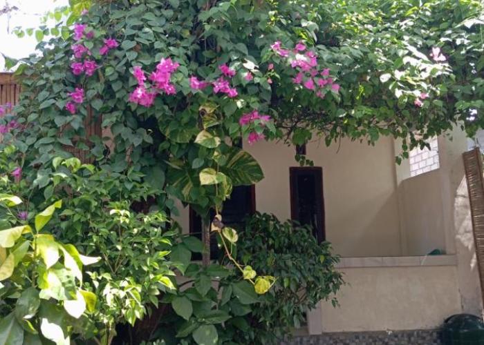 Pedek Homestay
