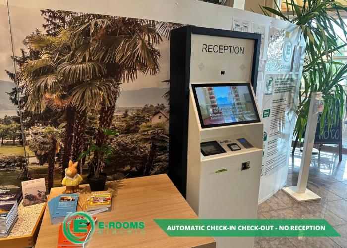 E-Rooms Minusio