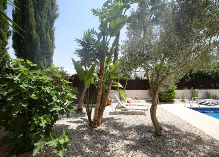 Unique Beach Luxurious Villas