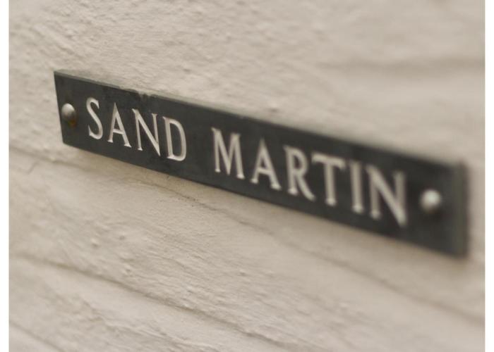 Sand Martin