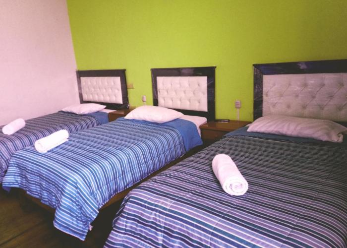Misti Hostel B&B