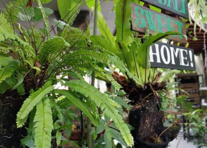 Coliving Bali SWEET HOME Kost Lengkap di Tabanan Kota