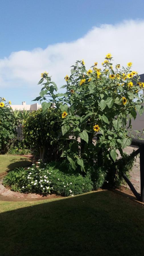 фото Sunflower Self-Catering