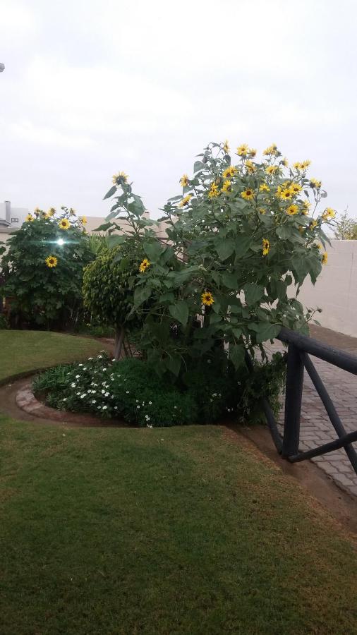 фото Sunflower Self-Catering