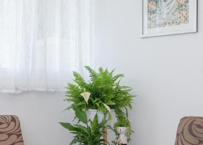 Apartment ASTI
