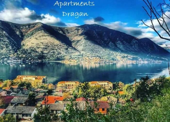 Apartments Dragan