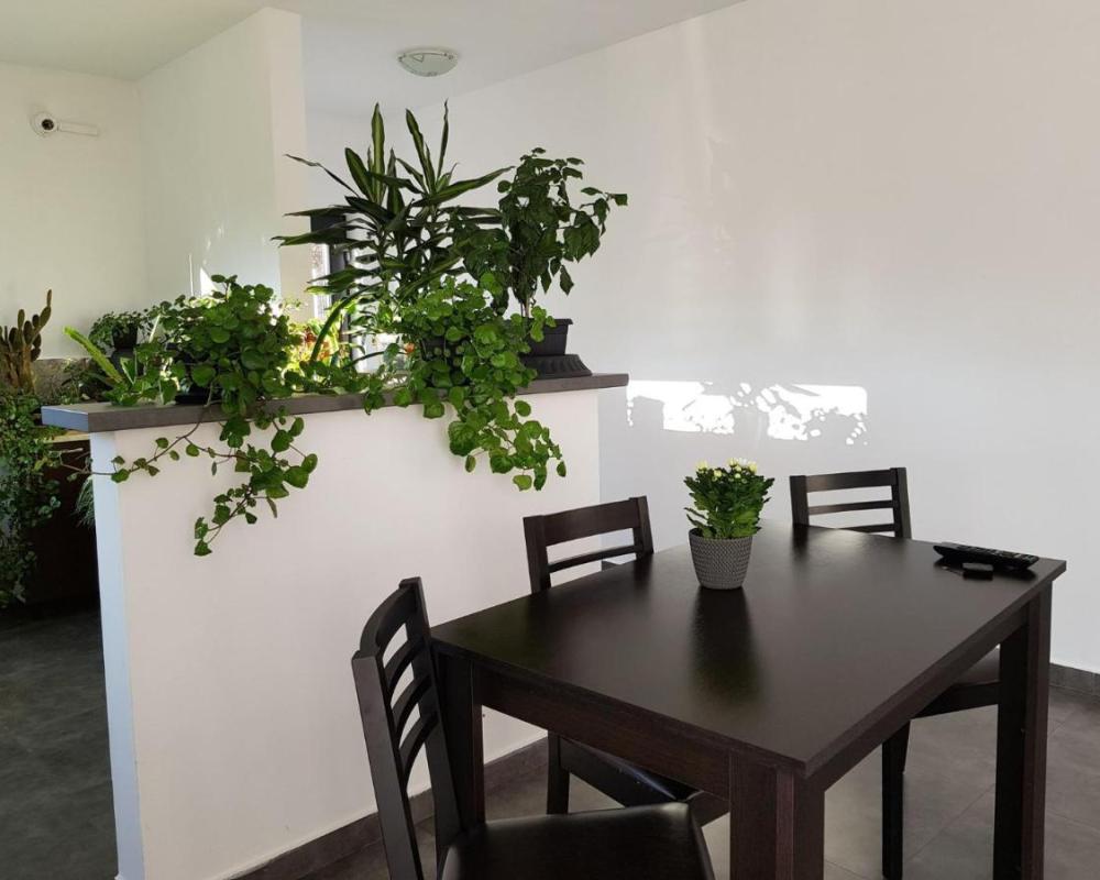 фото Casa Nagy