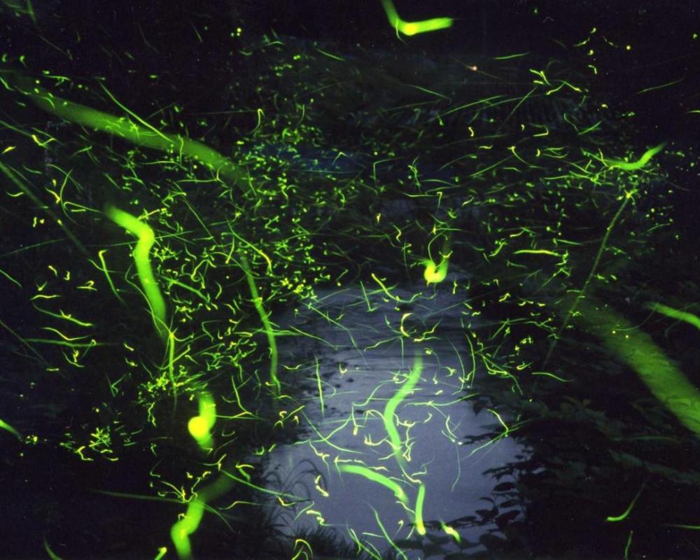 фото Ichinomata Onsen Kanko Hotel